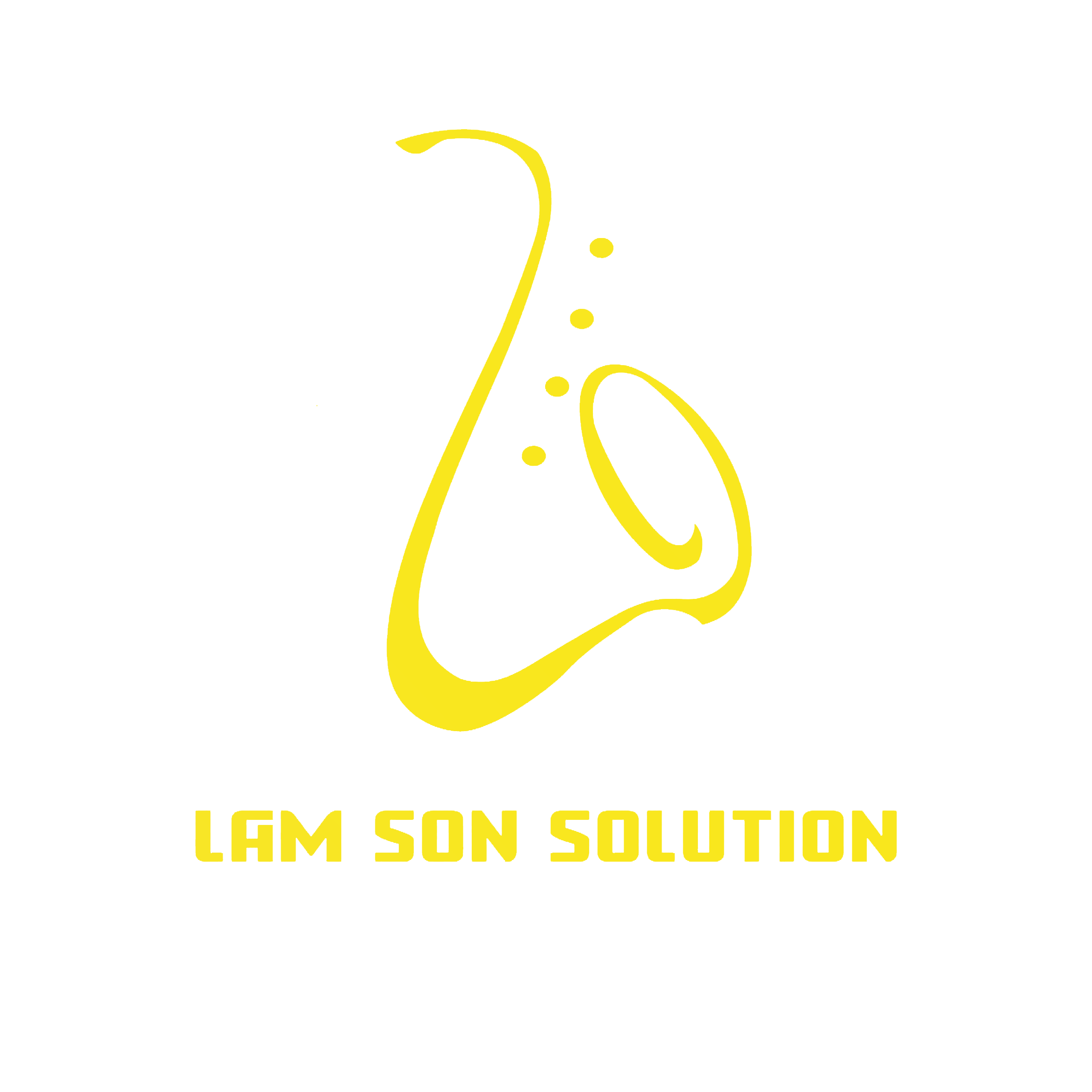 Lam Sơn Solution